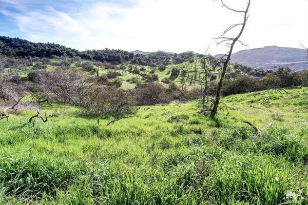 Bonsall, CA 92084,28001 Twin Oaks Valley RD