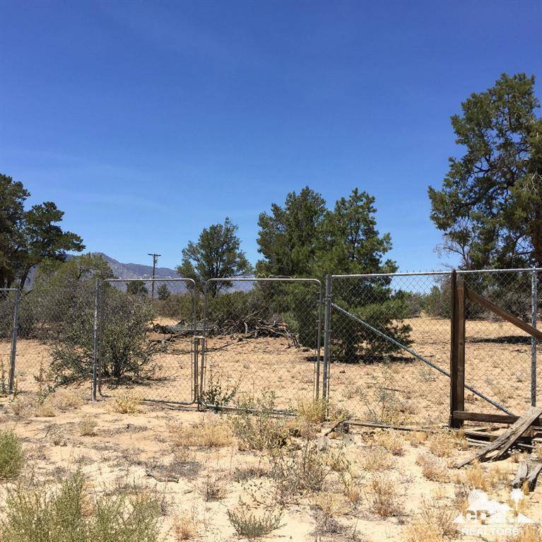 Mountain Center, CA 92561,0 Buckthorn