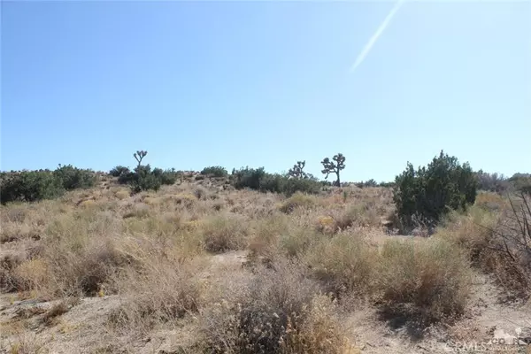 Yucca Valley, CA 92284,0 Sable Court