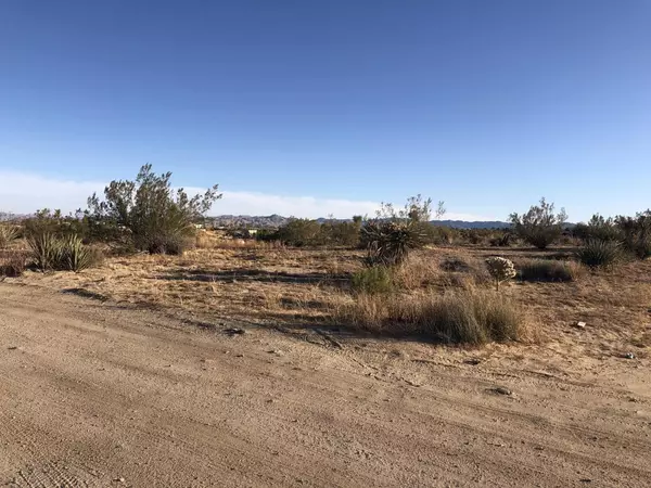 Yucca Valley, CA 92284,641 Terra Vista DR