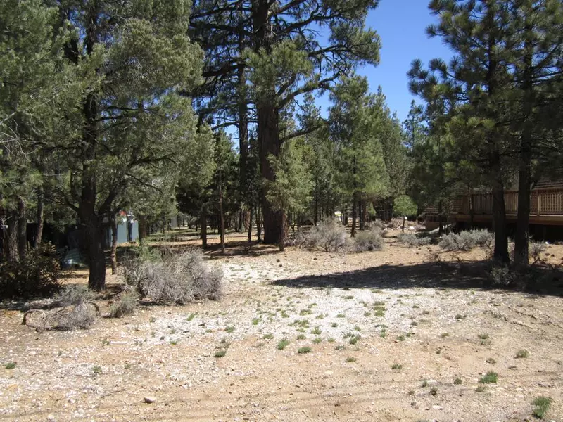 0 Pinon LN, Big Bear, CA 92314