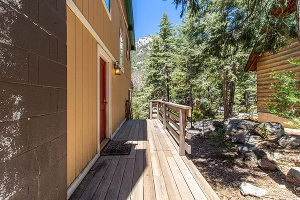 Idyllwild, CA 92549,24676 Forest DR