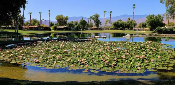 Palm Desert, CA 92260,73450 Country Club #20