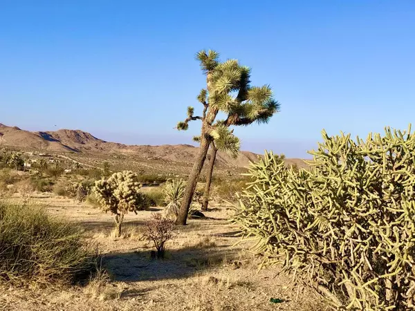 Joshua Tree, CA 92252,208 Sunburst DR