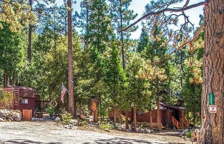 25525 Scenic DR, Idyllwild, CA 92549