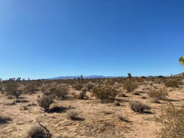 Joshua Tree, CA 92252,3000 Rockwood RD