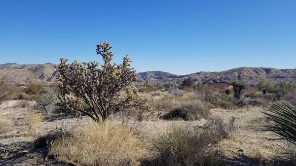 Morongo Valley, CA 92256,49425 Recuerdo LN