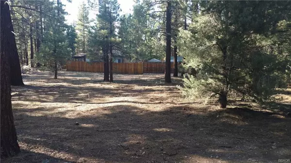 Big Bear, CA 92314,2149 Mahogany LN