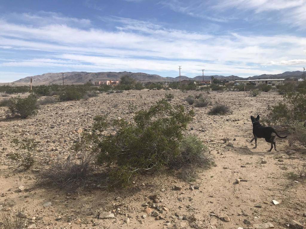 29 Palms, CA 92277,Lot 28 Twentynine Palms HWY