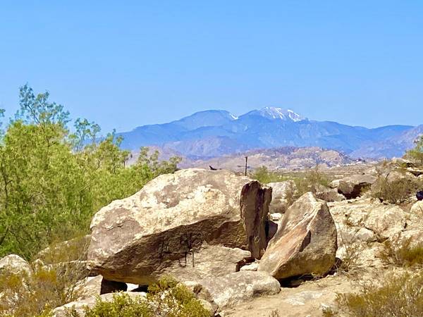 Joshua Tree, CA 92252,102 Hilltop DR