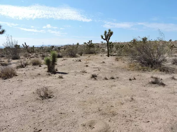 Yucca Valley, CA 92284,0 Wilhart