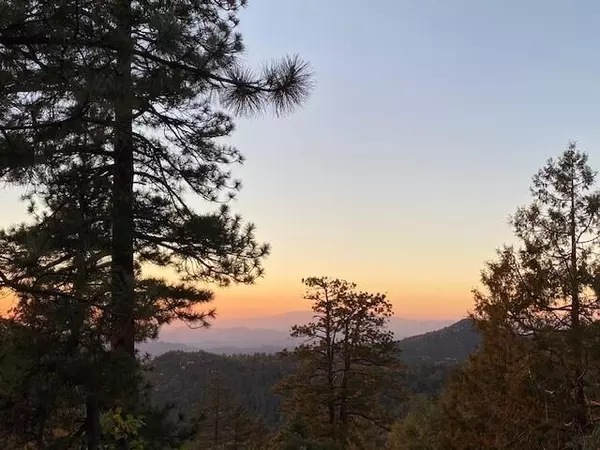 Idyllwild, CA 92549,23971 Sky View DR