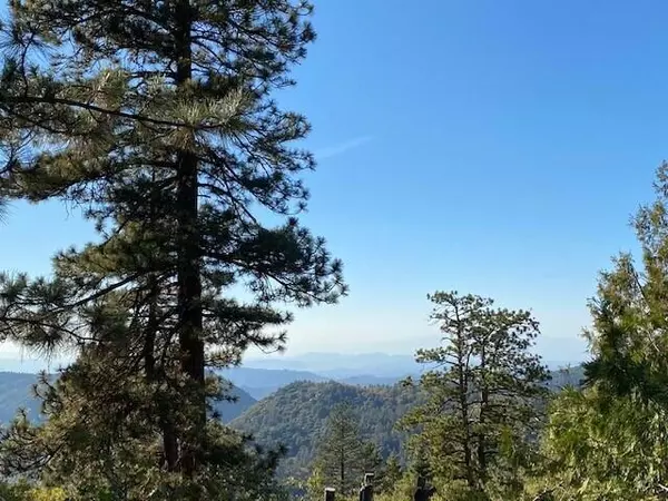 Idyllwild, CA 92549,23971 Sky View DR