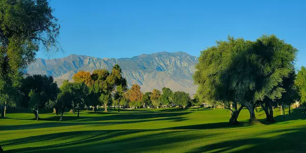 Palm Desert, CA 92260,73450 Country Club #135