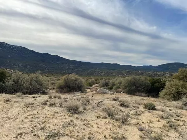 Lot 552 Palm Canyon DR, Mountain Center, CA 92561