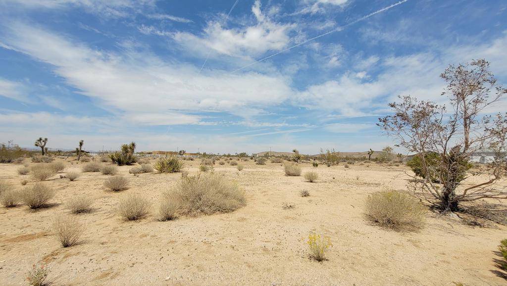 Joshua Tree, CA 92252,3388 Olympic RD