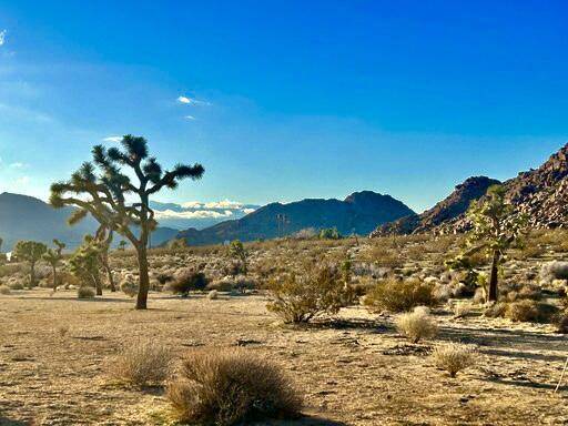 Joshua Tree, CA 92252,343 Rock Haven RD