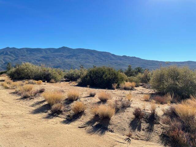 Lot  290 Palm Canyon DR, Mountain Center, CA 92561