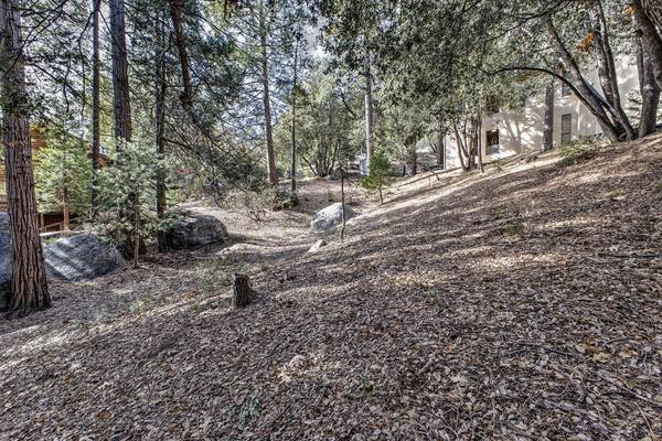 Idyllwild, CA 92549,Lot 156 Pine Crest AVE