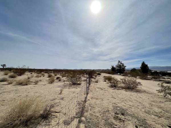 Joshua Tree, CA 92252,2 .5 Acres On Campanula ST