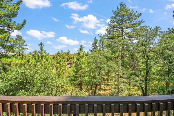 Big Bear, CA 92314,526 Villa Grove