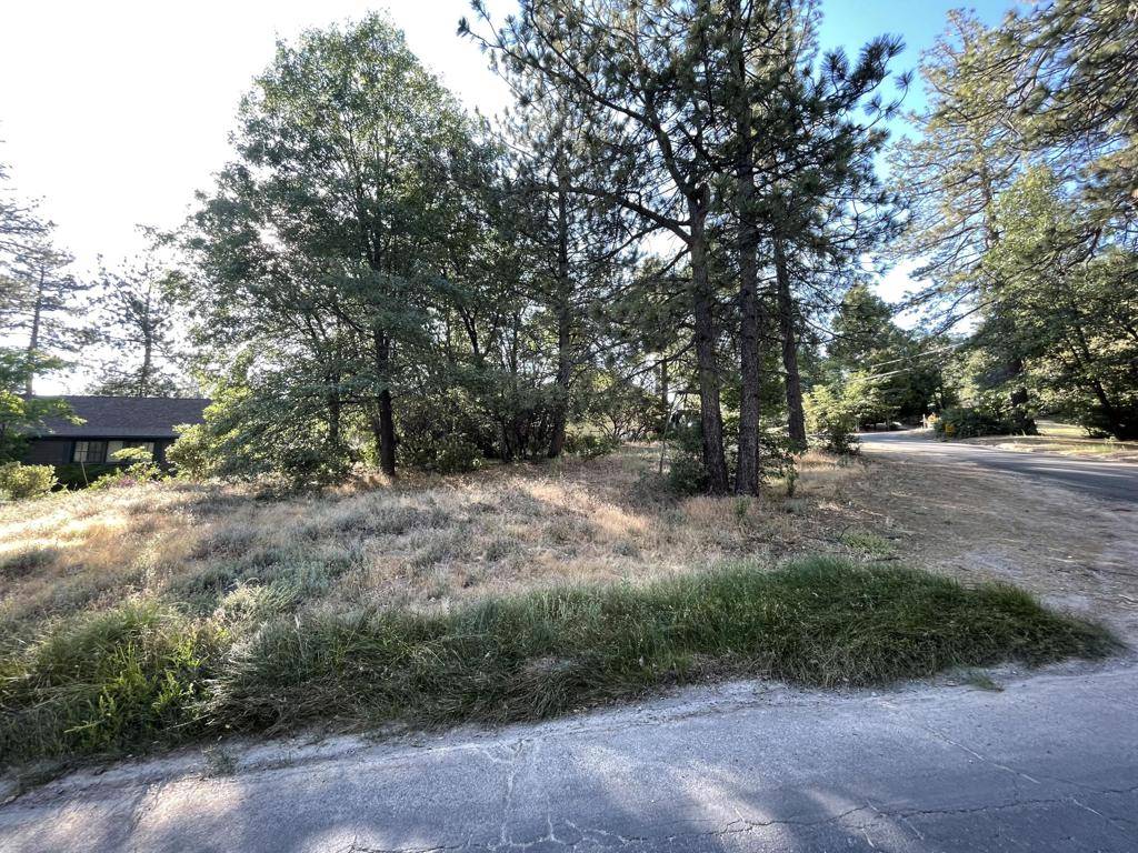 Idyllwild, CA 92549,0 Pinecrest AVE