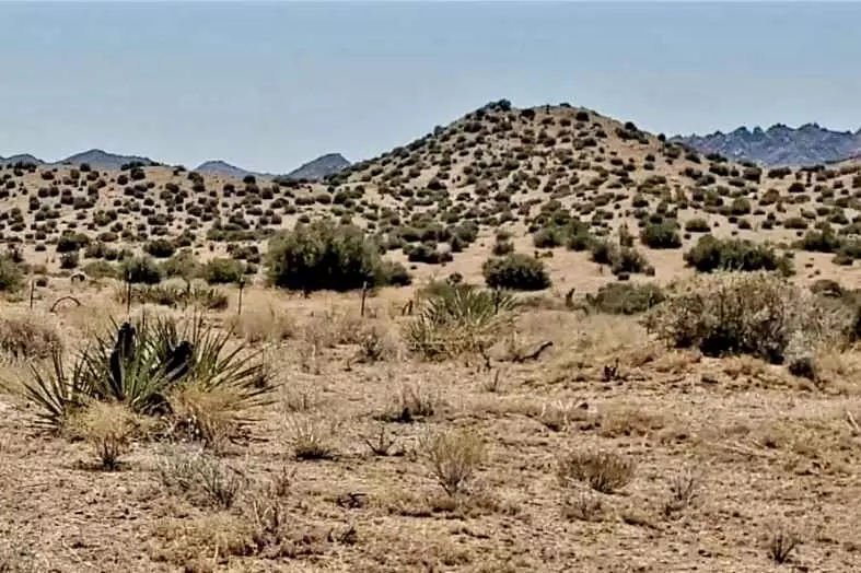 0 Trails End Ox Yoke Pass, Pioneertown, CA 92268