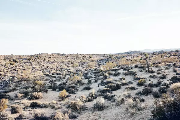 Pioneertown, CA 92268,0 Gilhouse LN