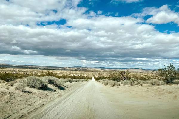 Joshua Tree, CA 92252,6989 California Ave AVE