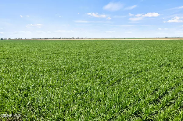 Arvin, CA 93203,Millux RD