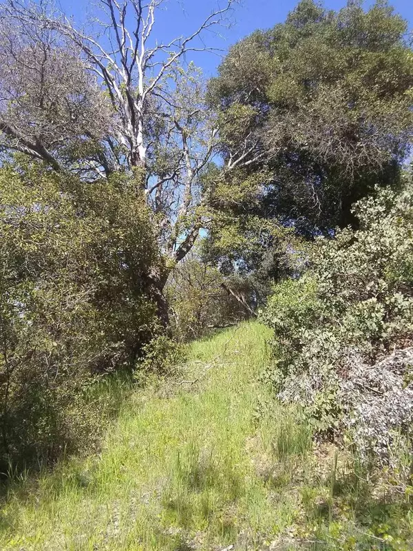 Julian, CA 92070,0 BOBCAT TRAIL RD