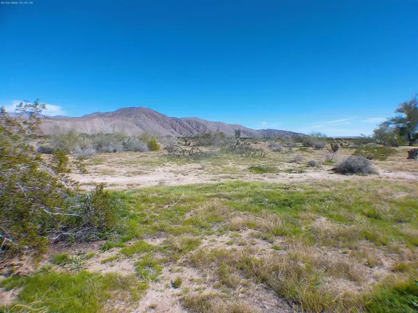 Borrego Springs, CA 92004,667 Indian Head Ranch Road