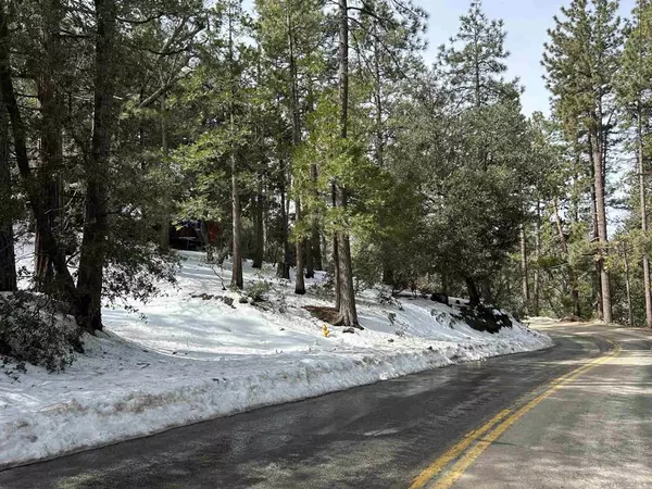 Idyllwild, CA 92549,8 Saunders Meadow Rd