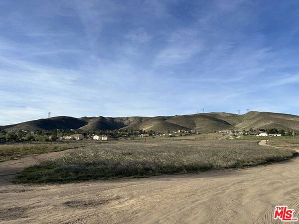 Agua Dulce, CA 91350,Address not disclosed