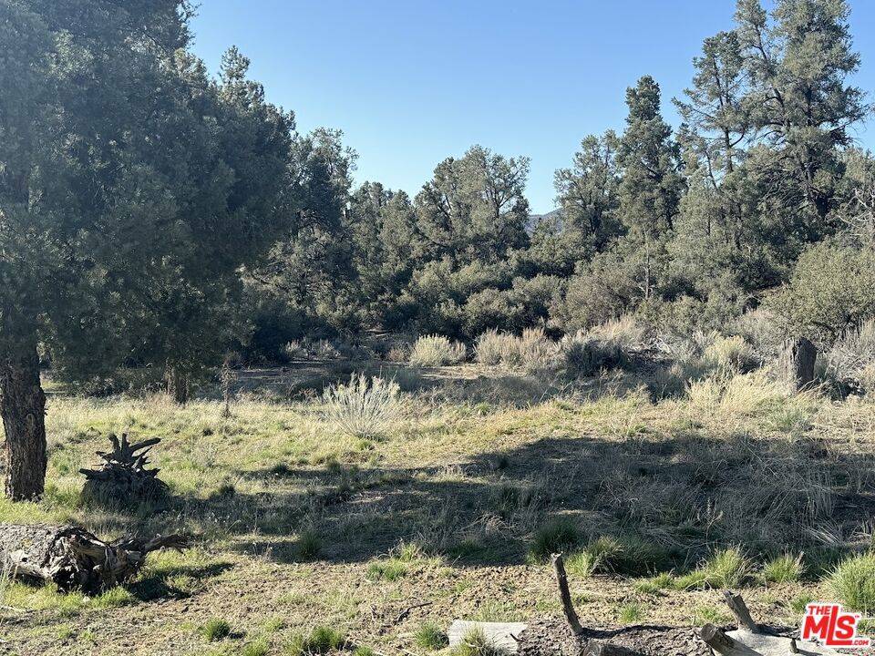 13601 Boy Scout Camp RD, Frazier Park, CA 93225