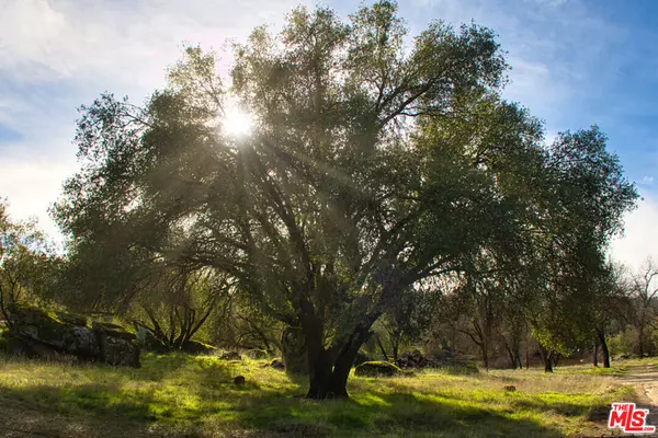 Coarsegold, CA 93614,1 Blackhawk Lake