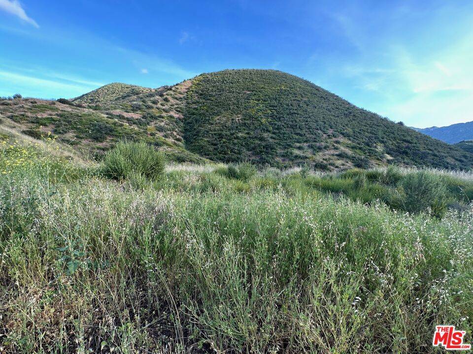 Agoura, CA 91301,0 Kanan RD
