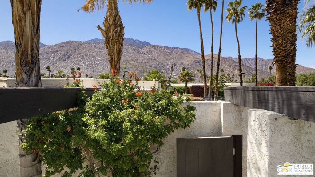 Palm Springs, CA 92262,427 N Calle Rolph