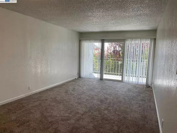 Hayward, CA 94541,944 Walpert St