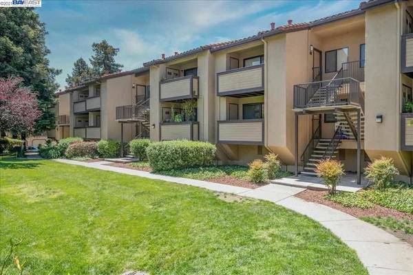 Fremont, CA 94539,90 Shaniko Cmn #81