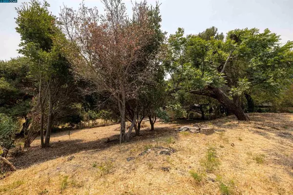 San Pablo, CA 94806,5834 Alpine Rd