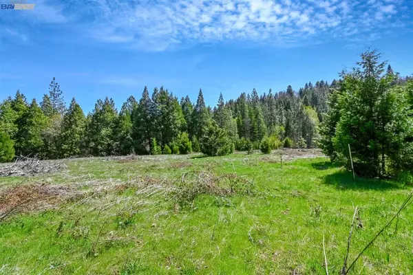 Pollock Pines, CA 95726,3061 Forest Rd