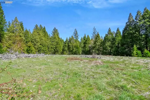 Pollock Pines, CA 95726,3061 Forest Rd