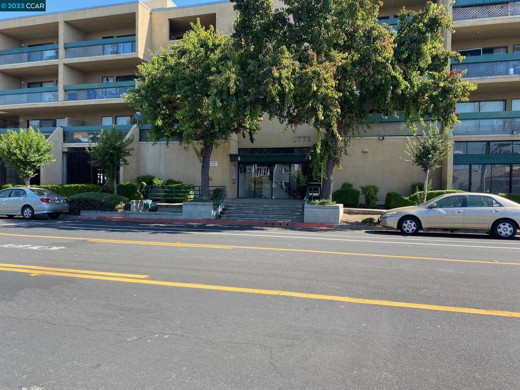 Concord, CA 94520,1771 Broadway St #213