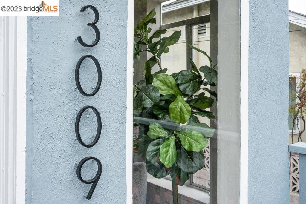 Berkeley, CA 94702,3009 Acton St