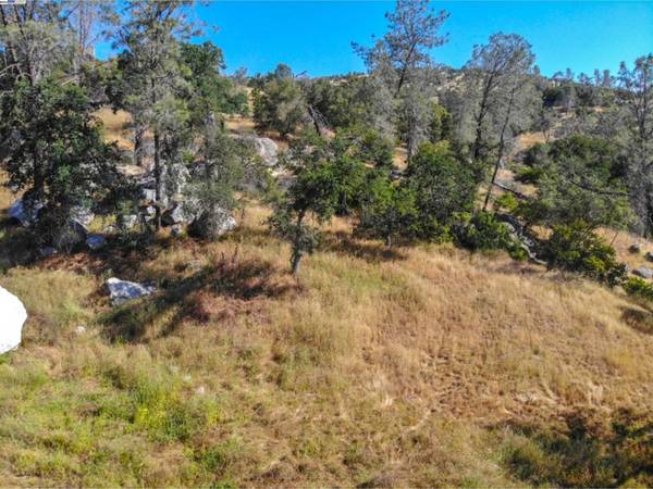 Coarsegold, CA 93614,0 Long Hollow Dr