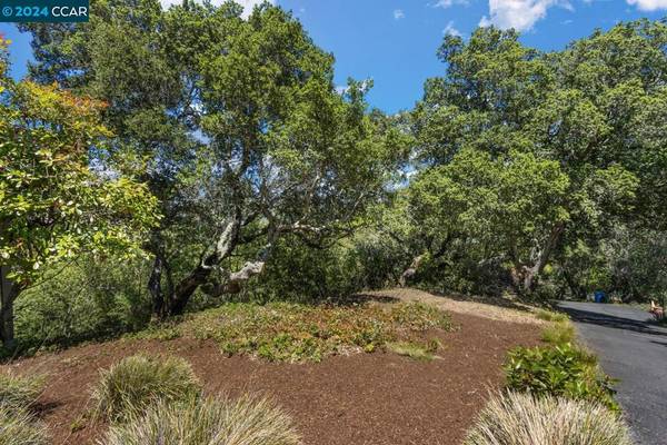 Orinda, CA 94563,15 Miramonte Road