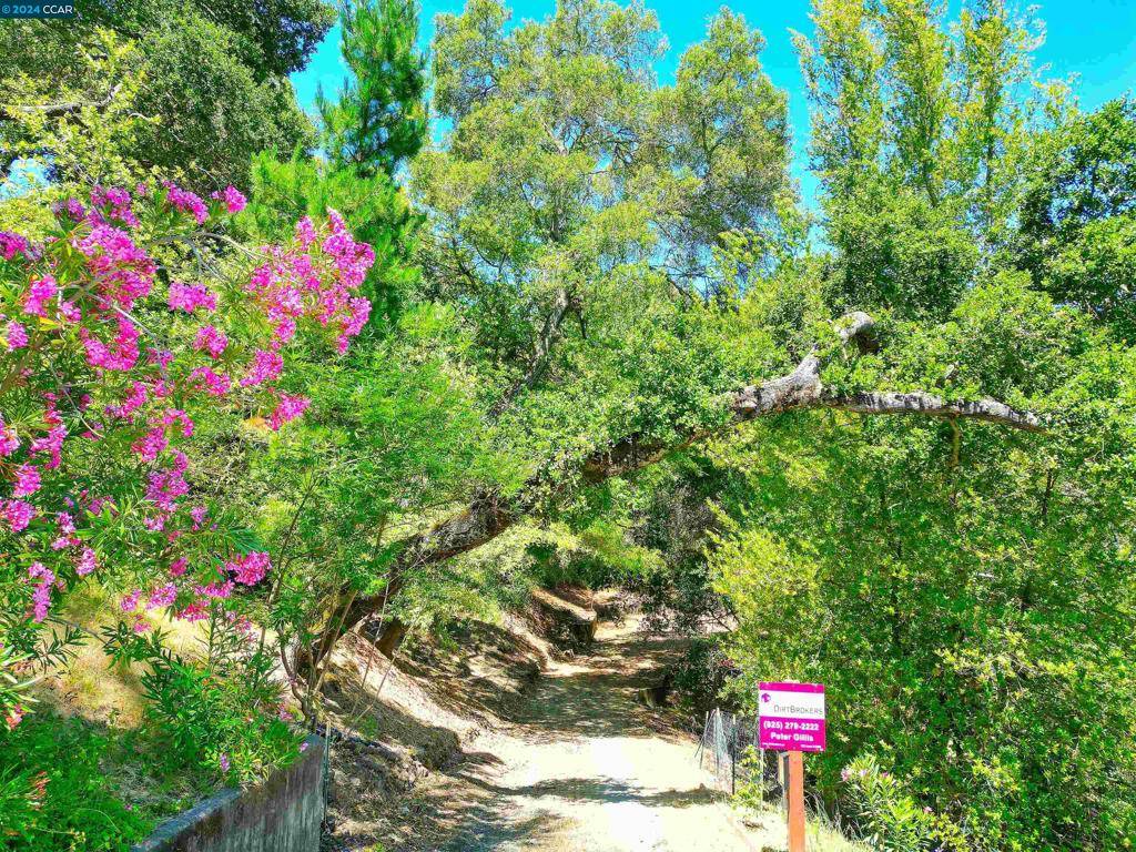 38 Oak Ridge Ln, Orinda, CA 94563