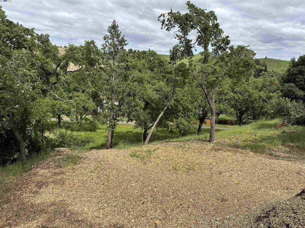 Alamo, CA 94507-2642,16 Crest Ct