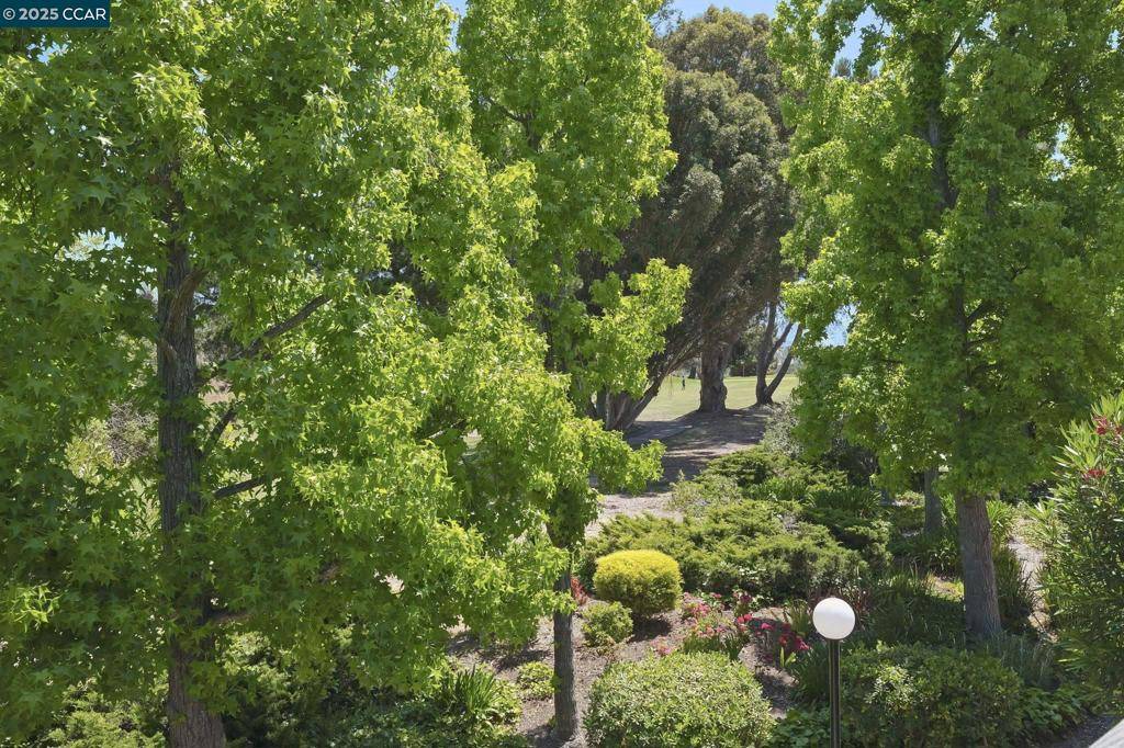 Walnut Creek, CA 94598,1447 Marchbanks Dr #3